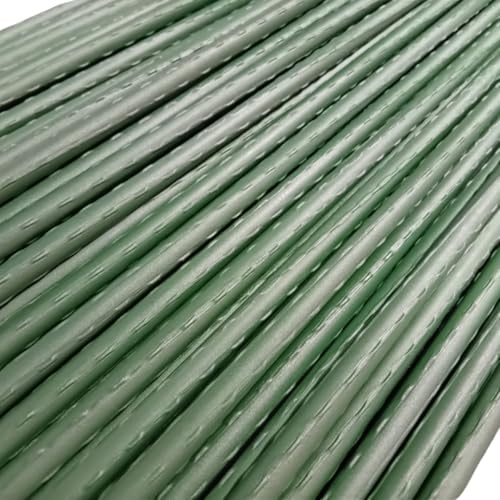 Set di 10 Supporti per Piante – Tutori in Acciaio Plastificato di Varie Misure – Pali per Pomodori, Bastoni e Paletti per Orto e Giardinaggio – Accessori per Vasi e Fioraio (150 CM)