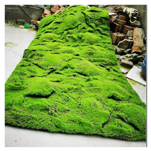 LSSHQ Alfombra de Musgo Artificial de Simulación Cesped Artificial Terraza Tapiz, Adecuado para Terraza de Jardín de Patio de Césped de Musgo Simulado(F)