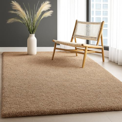 PHP Shaggy Rugs for Indoor - Super Soft Fluffy Thick Pile Non-Shedding Large Area Rug for Bedroom Living Room Tv Lounge Kitchen Carpet Mats (Beige, 120 x 170cm 120 x 170cm (4ft x 5ft 8))
