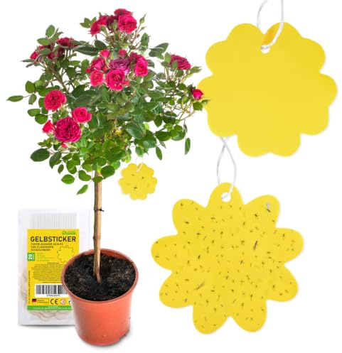 Chillife Gelbsticker Set I 20 Gelbtafeln gegen Trauermücken, 2 Blumen Designs + 20 Bindedrähte I Gelbtafeln Falle, Gelbsticker Trauermücken, Gelbfalle für Trauermücken, giftfrei und geruchslos