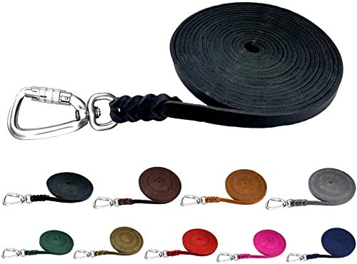 Hundeleine Fettleder Schleppleine große Hunde 1m / 2m/ 3m / 5m / 10m / 15m / 20m Lederleine 15mm breit (Schwarz, 5m MIT Handschlaufe)