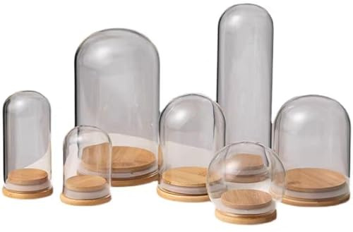 Cloche di vetro, cupola for esposizione a campana di vetro, copertura a cupola in vetro trasparente, 1 pezzo di campana di vetro sigillata cloche con base in legno, barattolo di vetro borosilicato tra