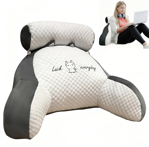 LANPEW Coussin Lecture Accoudoirs Velours Gris 70x50cm, Lit Canapé Bureau