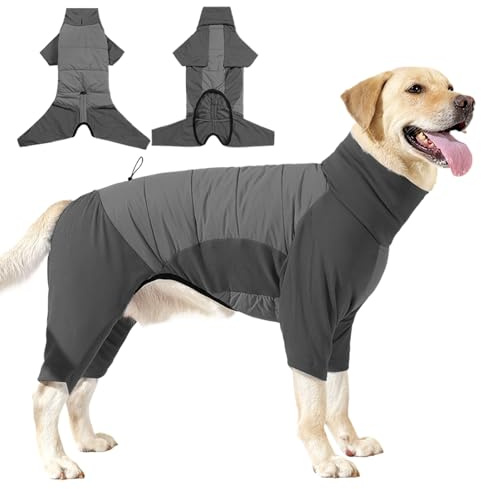 Quorvex Abrigo De Invierno para Perros | Ropa Impermeable al Viento para Clima Frío con Cuello Alto | Chaquetón Impermeable para Perros Pequeños y Grandes En Senderismo, Camping Y Paseos Al Aire
