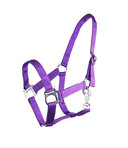 QHP Nylonhalfter Genickstück verstellbar durch Schiebeschnalle (Minishetty, Passion Flower)