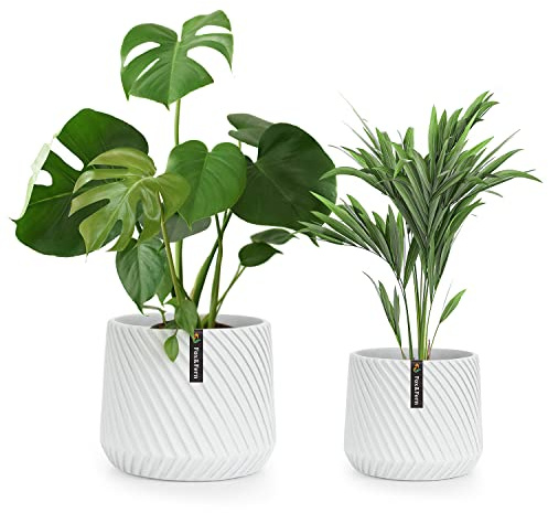 Fox & Fern Weiße Pflanzgefäße für Zimmerpflanzen (2er-Set) – Premium-3D-Textur, Polystein, 20,3 cm und 25,4 cm, moderne weiße Blumentöpfe für drinnen und draußen, glatte Innenseite, leicht