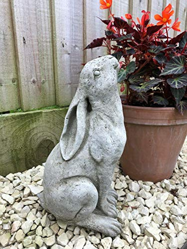 Rabbit Gazing Hare Stone Statue | Animal Bunny Outdoor Decoration Garden Ornament