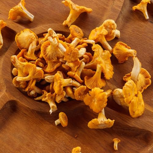 Semi di,coltivazione di,Giardino decorativo,facile da piantare da giardino,da ombra da balcone,da giardino giardino to,50pcs