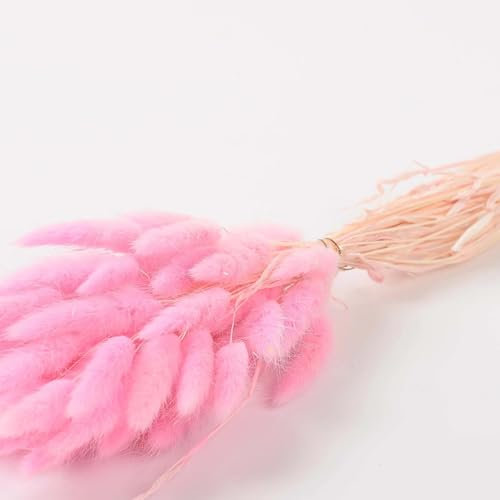 FOSANGPUSHI Fleurs séchées,50 pièces 35cm Naturel séché Herbe des Marais Queue de Lapin Herbe Fleur Branche fête Mariage Flores Bouquet décoration de la Maison Rose