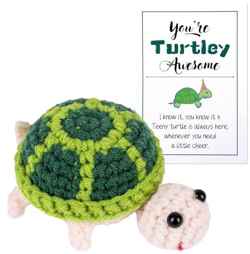 BFUZXY Pocket Hug, Positiver Schildkröte Geschenk mit Kartekuscheltiere Klein für Neujahr, Geburtstage, Frauen, Freunde, Kinder