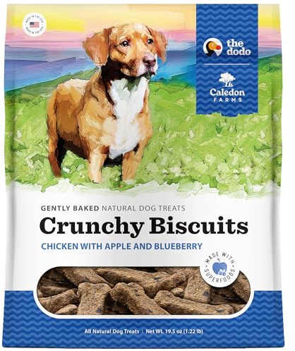 Caledon Farms The Dodo Crunchy Biscuits - Chicken with Apple & Blueberry 19.5oz, Dog Treats, Biscuits