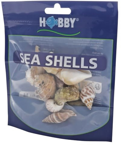 Hobby 40222 Sea Shells Set, M, M, 10 Stück