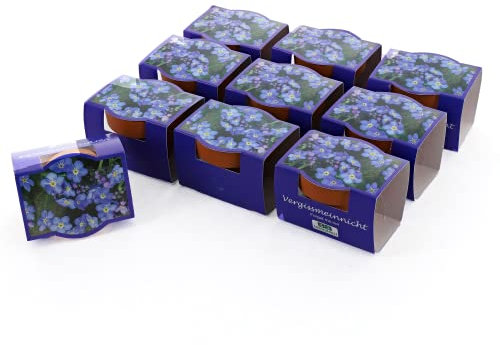 Bull & Bear 10er Set Minipflanzset Vergissmeinnicht, 10x Blumensamen im Topf 40mm, Mini Blumen als Anzuchtset mit Pflegeanleitung