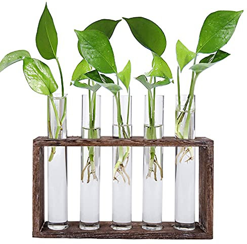 Jucoan Glass Planter Propagation Station, Wall Hanging Plant Terrarium with Wooden Stand, Glass Test Tube Flowers Bud Vase for Hydroponic Plants, Home Office Decor (5 Test Tubes &1 Brush)