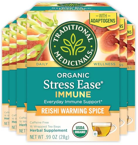 Traditional Medicinals Thé, soulage le stress biologique avec des adaptogènes, soutien immunitaire quotidien, épices réchauffantes Reishi, 96 sachets de thé