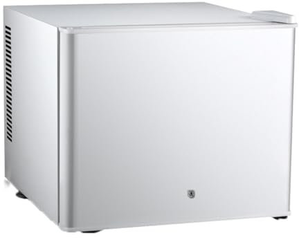 GIZNXBA Mini Frigo De Chambre Petit Frigo Cosmetique pour Soins De La Peau, Réfrigérateur Compact À Une Porte, Mini Réfrigérateur pour Chambre À Coucher, Dortoir, Bureau(Color:/White-20L)