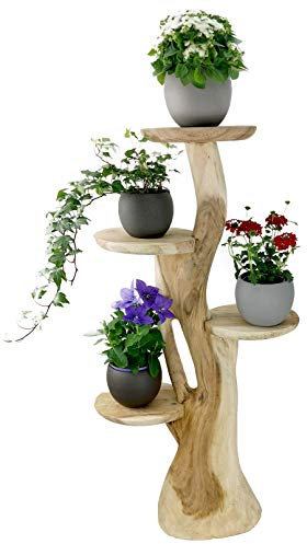 My-goodbuy24 Blumenständer Blumentreppe Blumenpodest Blumenhocker Pflanzen Blumen Deko Treppe Holz Massivholz Suar mit 4 Ablagen