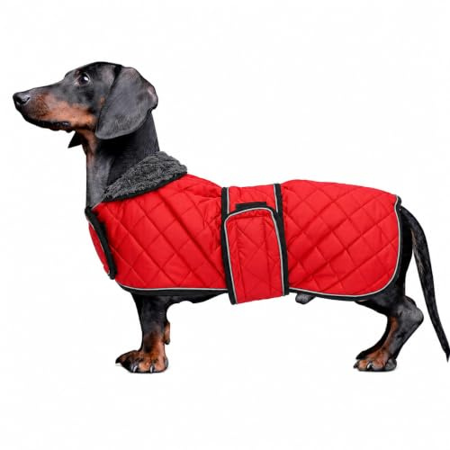 MOREZI Hundemantel Winter für Dackel - Wasserdichter Hunde Pullover mit Wolle Futter & Verstellbaren Gurten, Warmer Wintermantel für Kleine Hunde im Freien-Rot-L