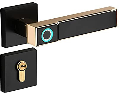 SLRMKK Fingerprint Door Lock, Smart Door Lock, Battery Powered,Keyless Entry Mechanical Handle Lock Suitable for Home,Apartment,Hotel,School