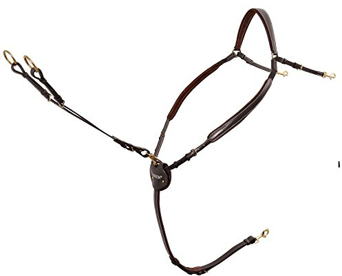 Passier Marcus Ehning Vorderzeug Pferd Schwarz mit Edelstahlbeschlägen