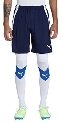 teamLIGA Training Shorts