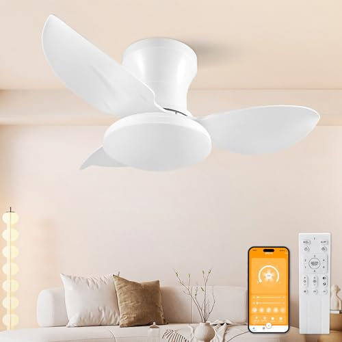 HaoDrisk Ventilatore da Soffitto con Luce, 65CM Ventilatore da Soffitto con Lampada e Telecomando, Silenzioso Lampadario con Ventilatore Dimmerabile 6 Velocità DC Reversibile Fan Lampada per Camera