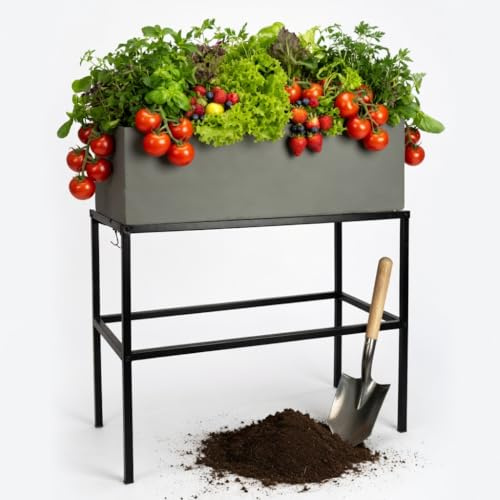 Pflanzwerk Pflanzkübel Hochbeet Gestell Elevate 60x80cm für Garten Terrasse und Balkon Blumenkübel - Pulverbeschichteter Edelstahl - Rostfrei - Premiumqualität - Frostsicher - 2 Jahre Garantie