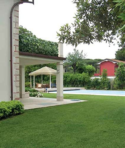 VERDELOOK Sempreverde® Point, Foglie di Ricambio Siepe Artificiale, Foglia pitosforo, per Decorazioni Giardino