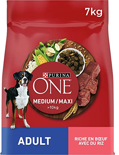 PURINA ONE | Chien Adulte de moyenne et grande taille > 10Kg | Croquettes riches en protéines | Aide à maintenir des muscles forts et un niveau suffisant d'énergie | Au Bœuf | Sac | 7 kg