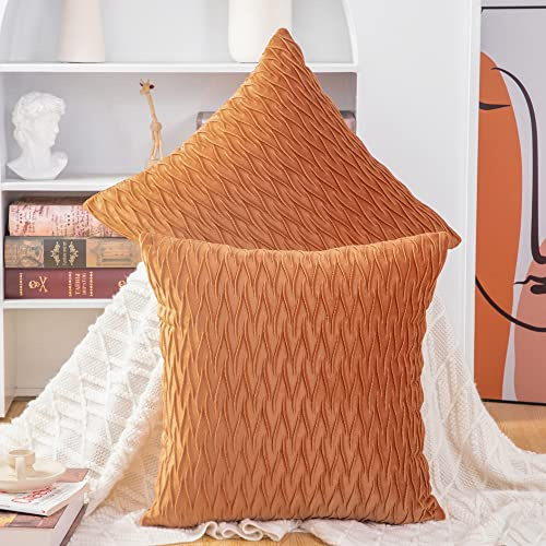 Madizz 2er Set Samt Dekorativ Zierkissenbezüge Luxus Stil Kissenbezug für Sofa für Schlafzimmer Orange 40x40 cm Quadrat