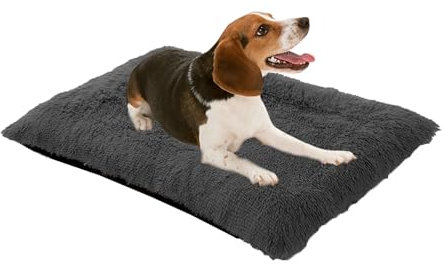 XIEMINLE Hundebett Katzenbett, Orthopädisch Waschbar Haustierbett Mittelgroße Hunde, Haustierbett für Große Hunde, rutschfeste Unterseite Anti-Angst Hundebetten Hundesofa Welpen Kissen(100x70x10cm)