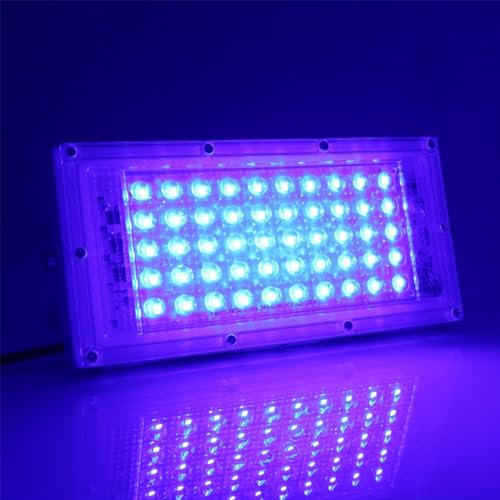 MODOAO Luces de inundación para exteriores, luces LED azules de 50W 4800lm, luz exterior IP66, impermeable, para patio, jardín, garaje, césped, cancha