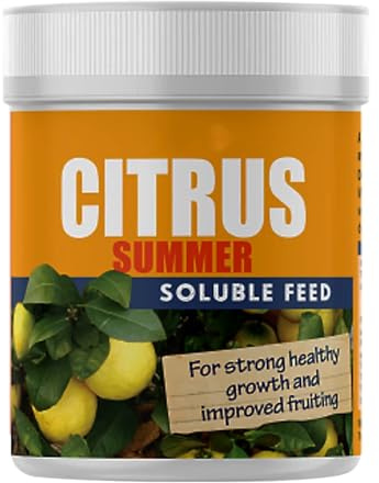 ZOPPER Citrus Feed 200g – Soluble Citrus Plant Food Fertiliser for Lemon, Orange & Citrus Trees, Summer Nutrient Feed for Strong Roots, Healthy Growth & Abundant Fruit, Indoor & Outdoor Plants
