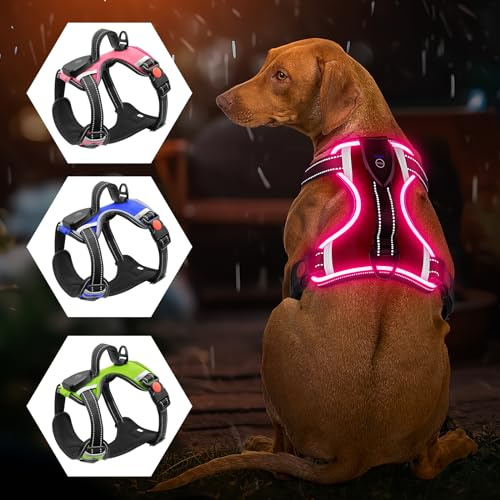 Leuchtendes Hundegeschirr - Kein Ziehen, LED, Wiederaufladbar für Kleine, Mittelgroße und Große Hunde (Rosa, S)