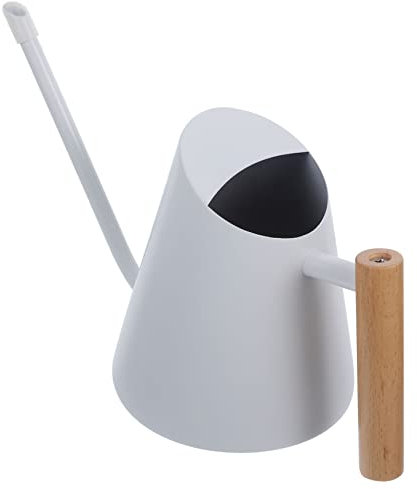 Toddmomy Arrosoir Acier Inoxydable avec Poignée Bois pour Jardinage Et Arrosage De Plantes Intérieur