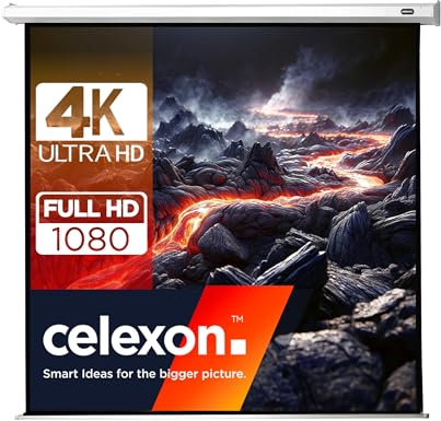 celexon Economy Motor-Leinwand 160 | 300x300 cm 1:1 | elektrische 4K,Full-HD Beamer-Leinwand für Büro-Präsentationen & Ihr Heimkino | zur Wand- und Deckenmontage | inkl. Fernbedienung