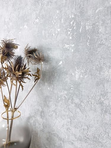 Newroom Tapete Grau Vliestapete Beton - Betonoptik Modern Hellgrau Silber Zement Metallic Betonwand Industrial Glanztapete inkl. Tapezier-Ratgeber