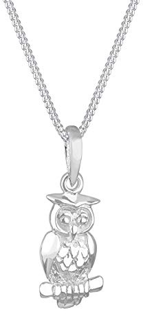 Elli Halskette Silber 925 Eule Kette Damen Schmuck Geschenke für Frauen | Mädchen Mama Freundin, Uhu Silberkette Länge 45 cm