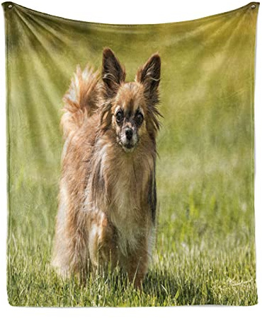 ABAKUHAUS Chihuahua Suave vellón de Franela Manta, Pelo Largo del Perro pequeño, Acogedora Felpa para Interior y Exterior, 175 x 230 cm,Caqui Camello Oscuro Cacao