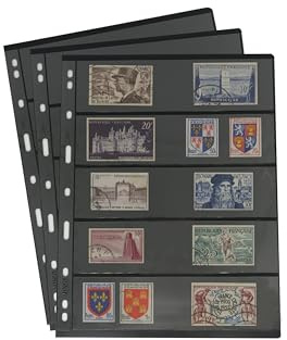 PCCB MINGT 10 Pcs Standard 9-Hole Album Pages (Black, 5 Pockets) | Double-Sided Pocket PET Refill Sleeves for Banknotes, Stamps & Currency Collection Binders