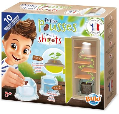 Piccoli Germogli – Set Scoperta della Vita di un Seme – Esperimenti di Germinazione e Fotosintesi – Armadietto per Germinazione con Vasi Trasparenti – Caccia al Tesoro Educativa – Dai 5 Anni - M001