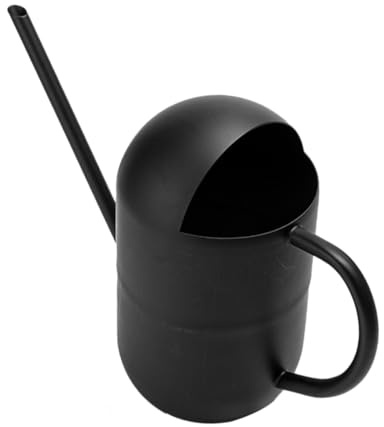 Abaodam Arrosoir pour Plantes Intérieur avec Long Bec Verseur Pot Arrosage pour Jardin Arrosoir Métallique Pratique