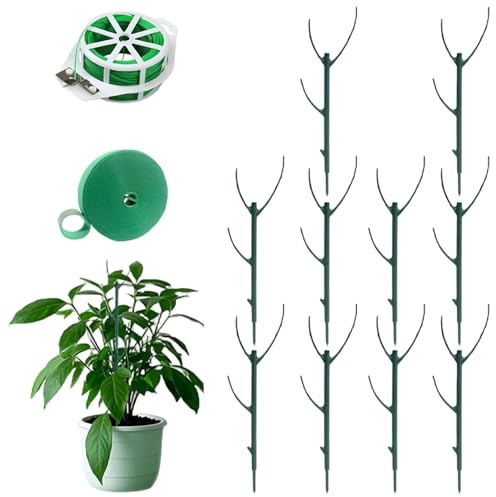 Tuteurs pour Plantes, 10 Tuteurs empilables Monstera avec Fils de Fixation pour intérieur et extérieur