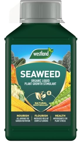 Westland Organic Seaweed Liquid Plant Growth Stimulant 1L Natural Fertilizer for Healthier Stronger Plants Boosts Growth Improves Root Development Ideal for All Plants and Gardens