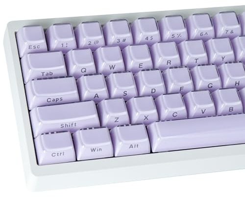 JakeTsai Crystal Jelly Keycaps, PBT Keycap 113 Keys OEM Profile Double Shot Purple Translucent Side Printed Custom Keycaps for Cherry MX Switch ASIN/ISO Layout Mechanical Keyboard