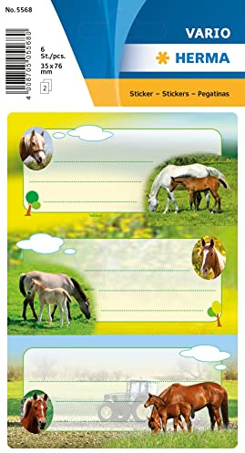 HERMA 5568 Lot de 6 étiquettes pour livre d'étiquetage chevaux - 76 x 35 mm - Autocollantes - Lignées - Pour l'école, les enfants, les filles, les garçons - Multicolore