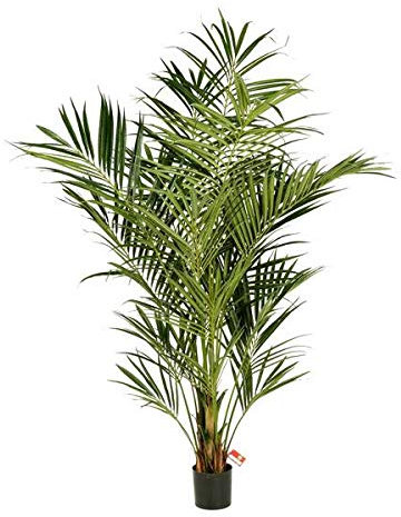 artplants.de Künstliche Kentia Palme, 486 Blätter, Deluxe, 225cm - hochwertige Dekopalme - Kunstpalme