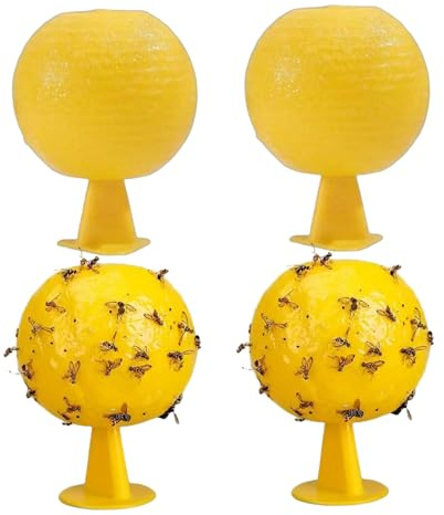 CAKEEYUM 4pcs gelbe klebrige Fallen für Pflanzenzwergen 3.2x3.2 Starker Kleber Fruchtfliege Kleber Fallen sichere Fliege fangen Ball für Küchenfrüchte -Shop -Falle, gelb für Pflanzenzauber, FRU