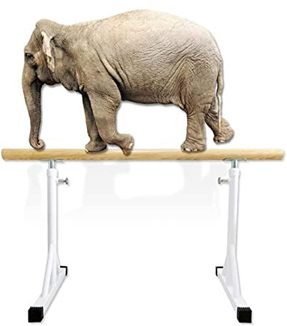 Ballettstange, tragbar, für Zuhause, für Erwachsene und Kinder, leicht, verstellbar, einzelne Ballettstange, freistehende Stangenausrüstung, perfekt für Übungen, Balance, Aufbau von Kernflexibilität