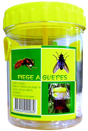 Masy Jean' - Piege Guepe